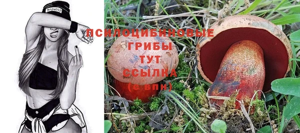 гидропоника Куйбышев
