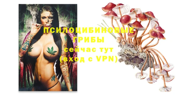 гидропоника Куйбышев