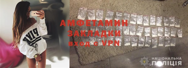 крисы Ростов