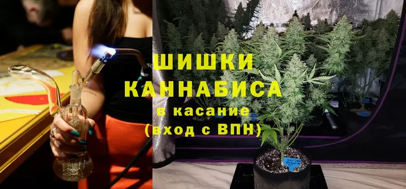 Канабис OG Kush  darknet как зайти  Новомичуринск 