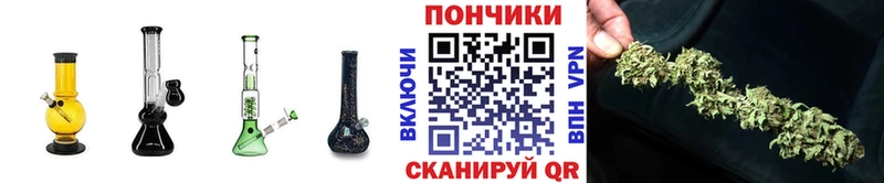 Шишки марихуана гибрид Новомичуринск